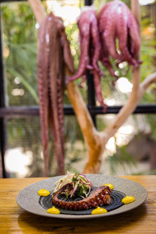 Bohemian Bar & Restaurant, photo 18